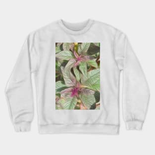 Amaranthus oil paint effect Crewneck Sweatshirt